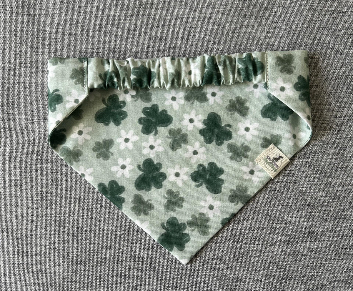 Shamrock and Daisy Bandana