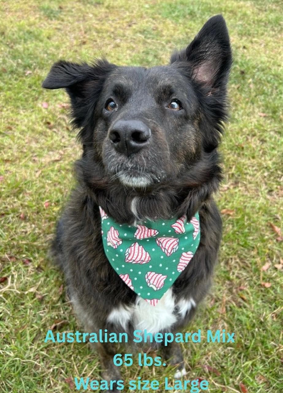Christmas Tree Cake Scrunchie Dog Bandana, Holiday Pet Accessories