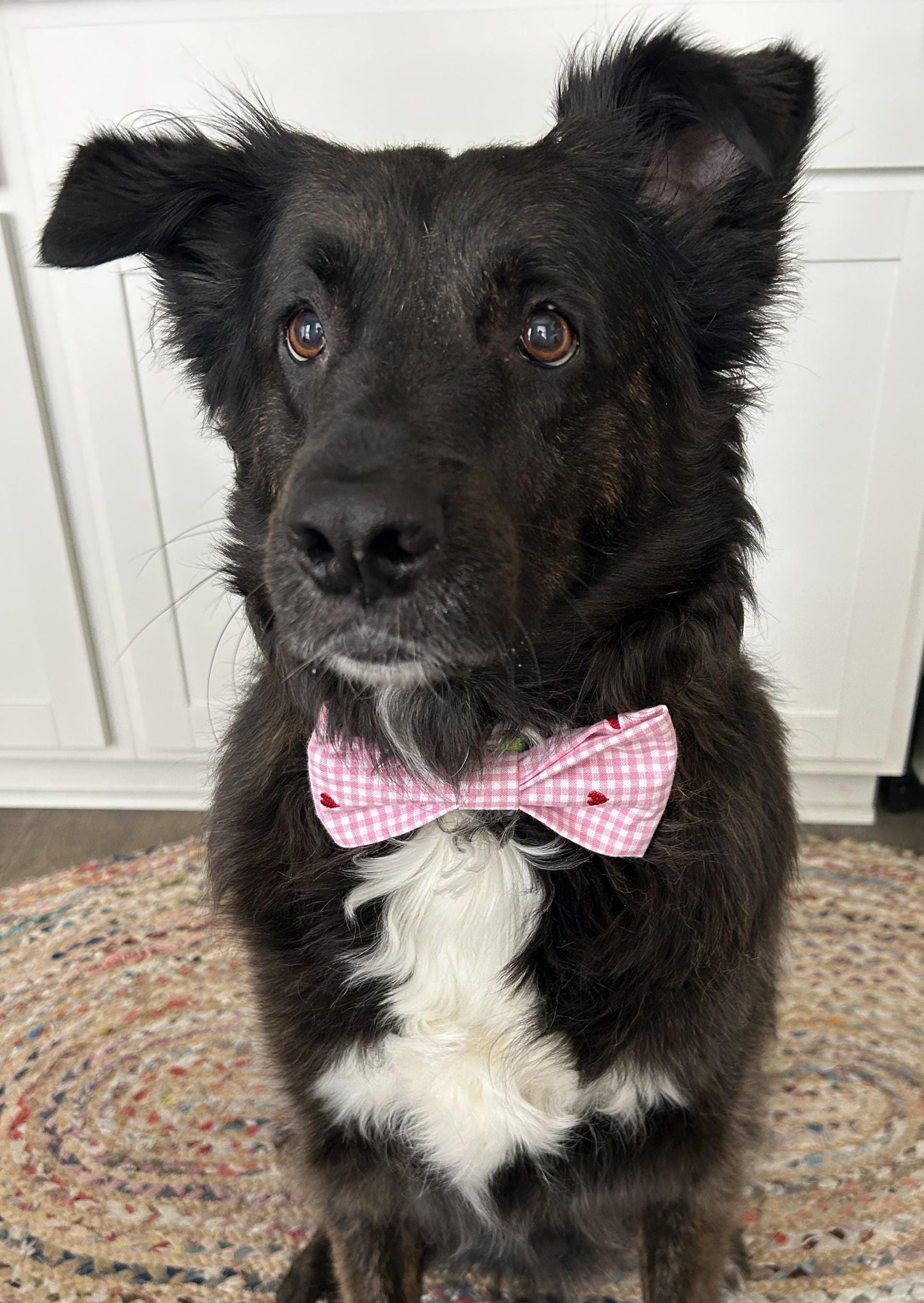 Valentine's Day Pink Gingham Dog Bow Ties, Bowtie Pet Accessories