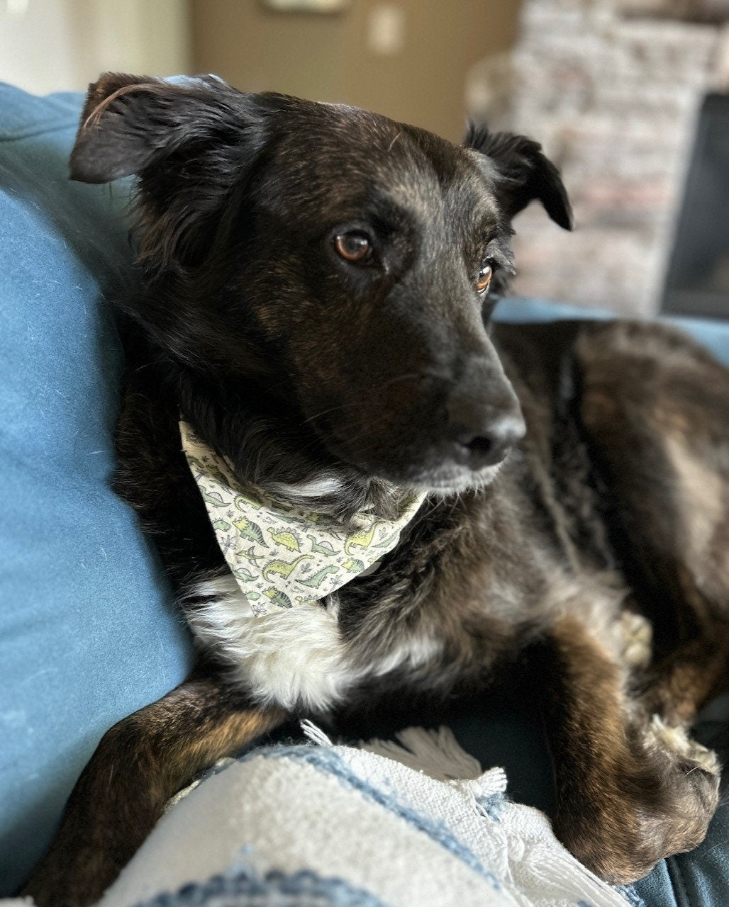 Green Mini Dinosaurs Scrunchie Dog Bandana