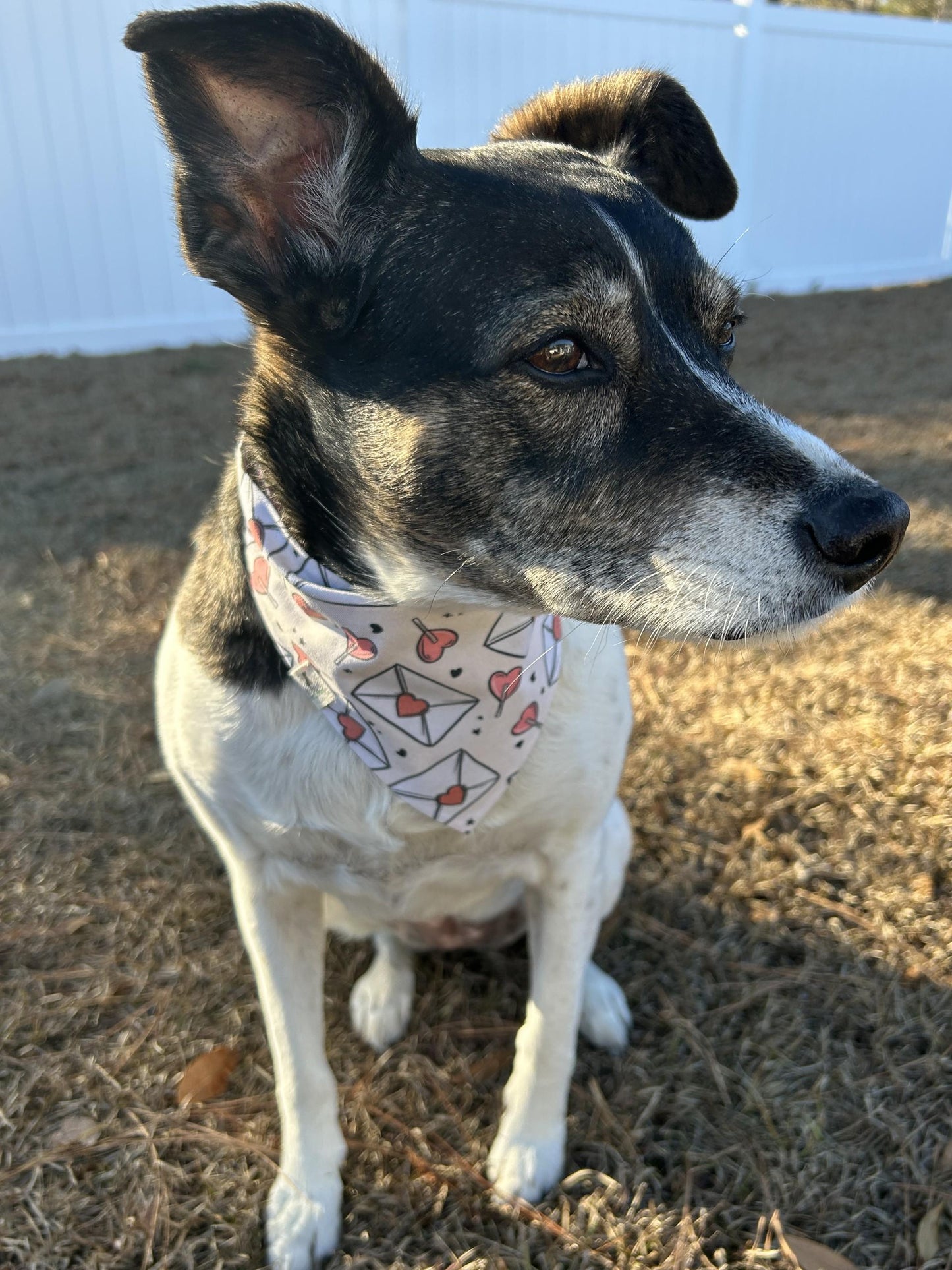 Valentine's Day Scrunchie Bandana, Heart Day Pet Accessories