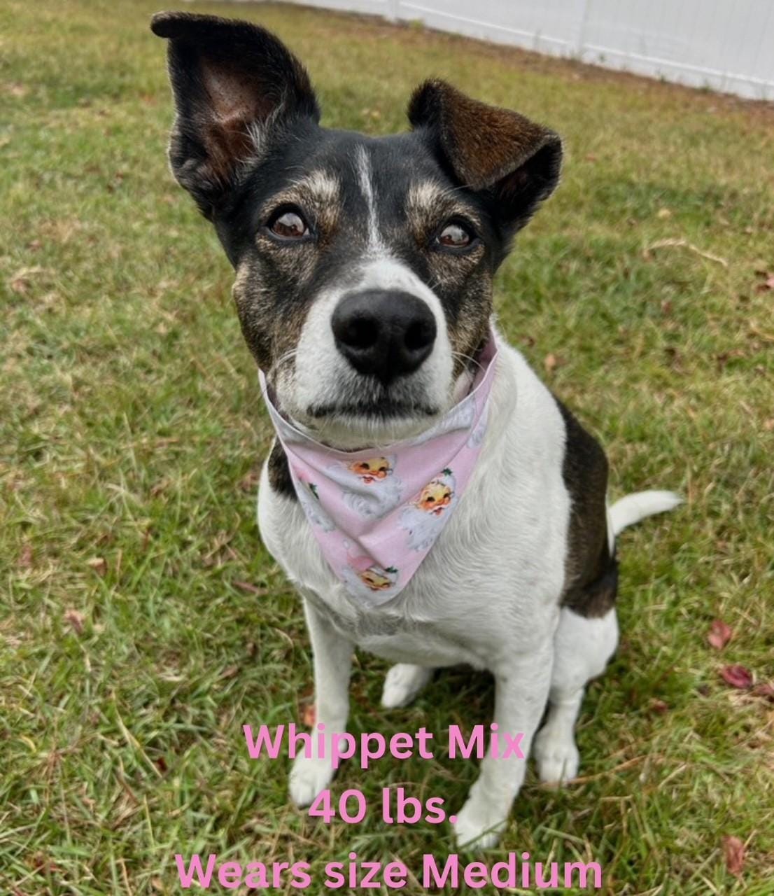 Pink Vintage Santa Scrunchie Dog Bandana, Christmas Holiday Pet Accessories